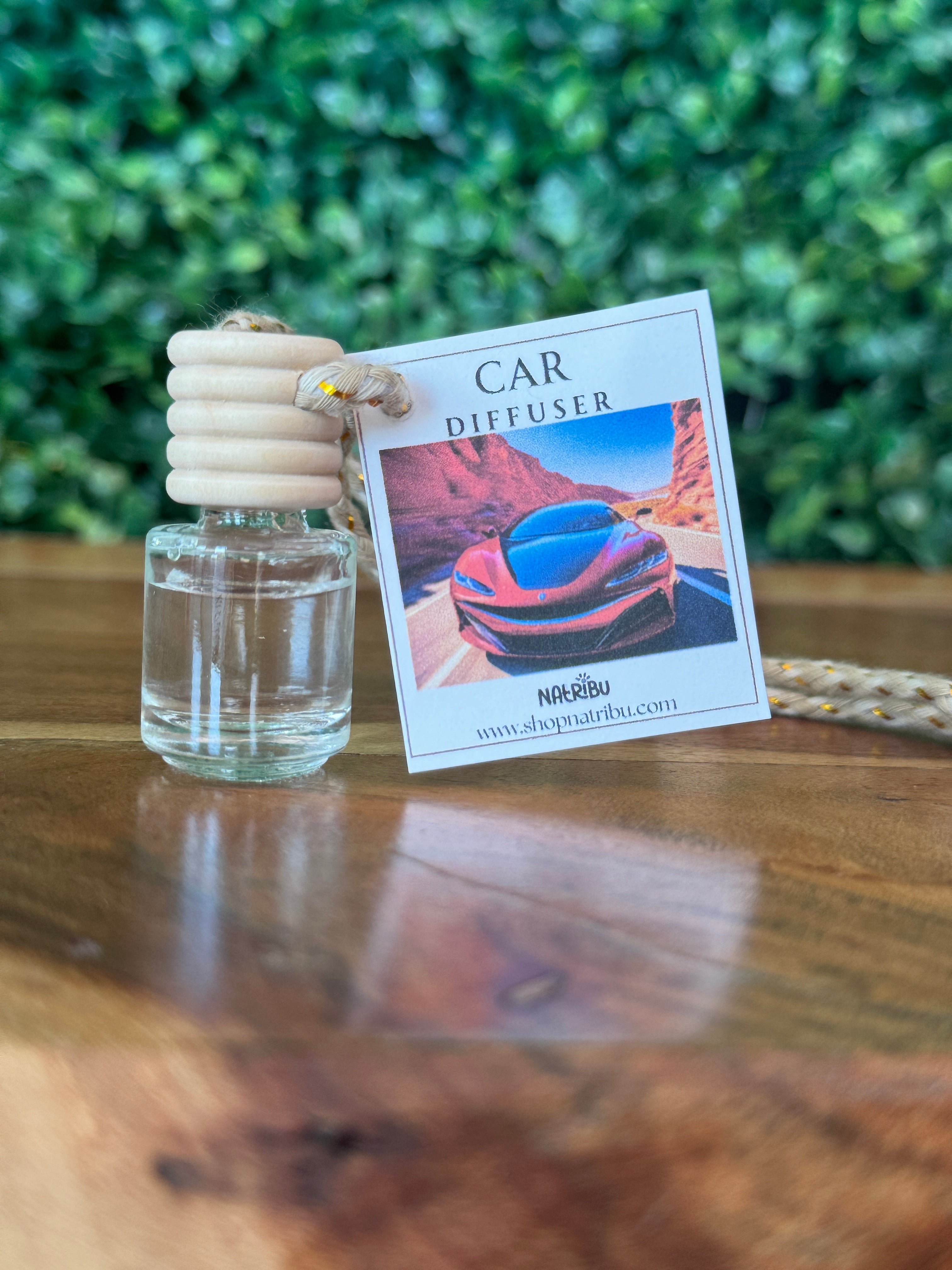 Car diffuser